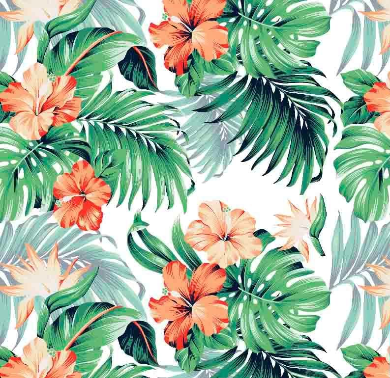 BE-Tropicales