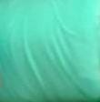 BL-Menta